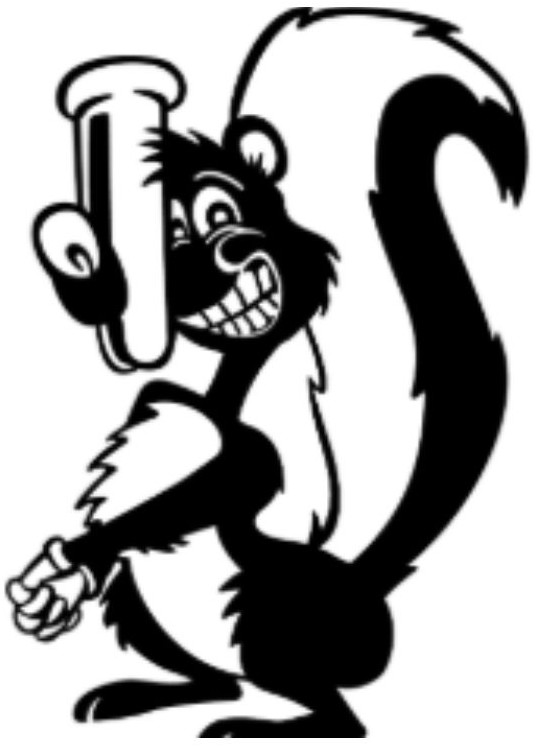 Stinky's Septic Pumping Logo